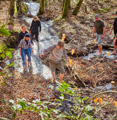 Wild-Wald-Erlebniswanderung