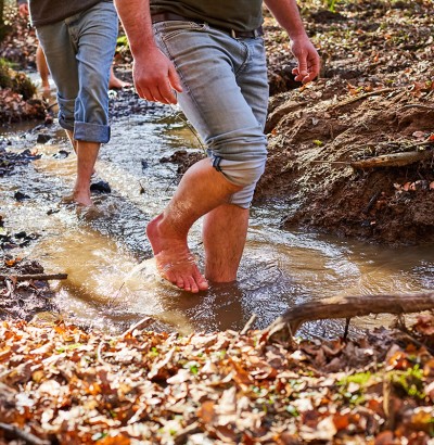 Wild-Wald-Erlebniswanderung