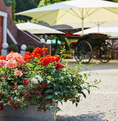 Blick zum Biergarten