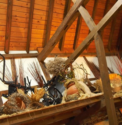 Seminare und Tagungen in Naafs-Häuschen in einem besonderen Ambiente